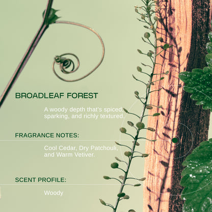 Broadleaf Forest Hand + Body Powder Wash