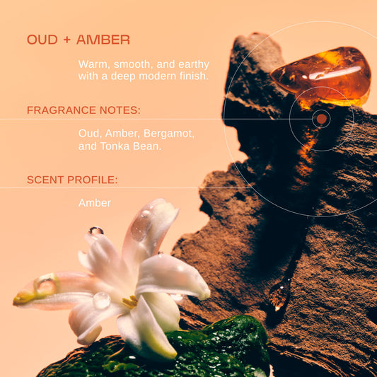 The Oud + Amber Collection