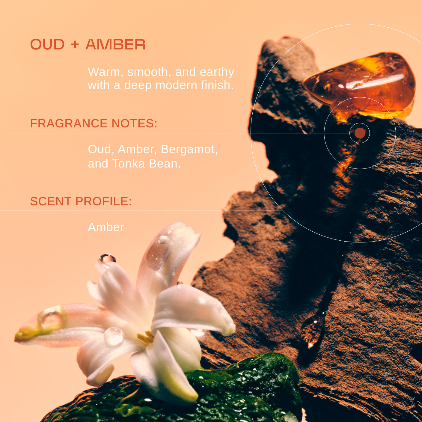 Oud + Amber