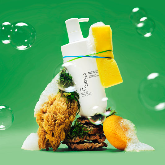 Broadleaf Forest Hand + Body Wash