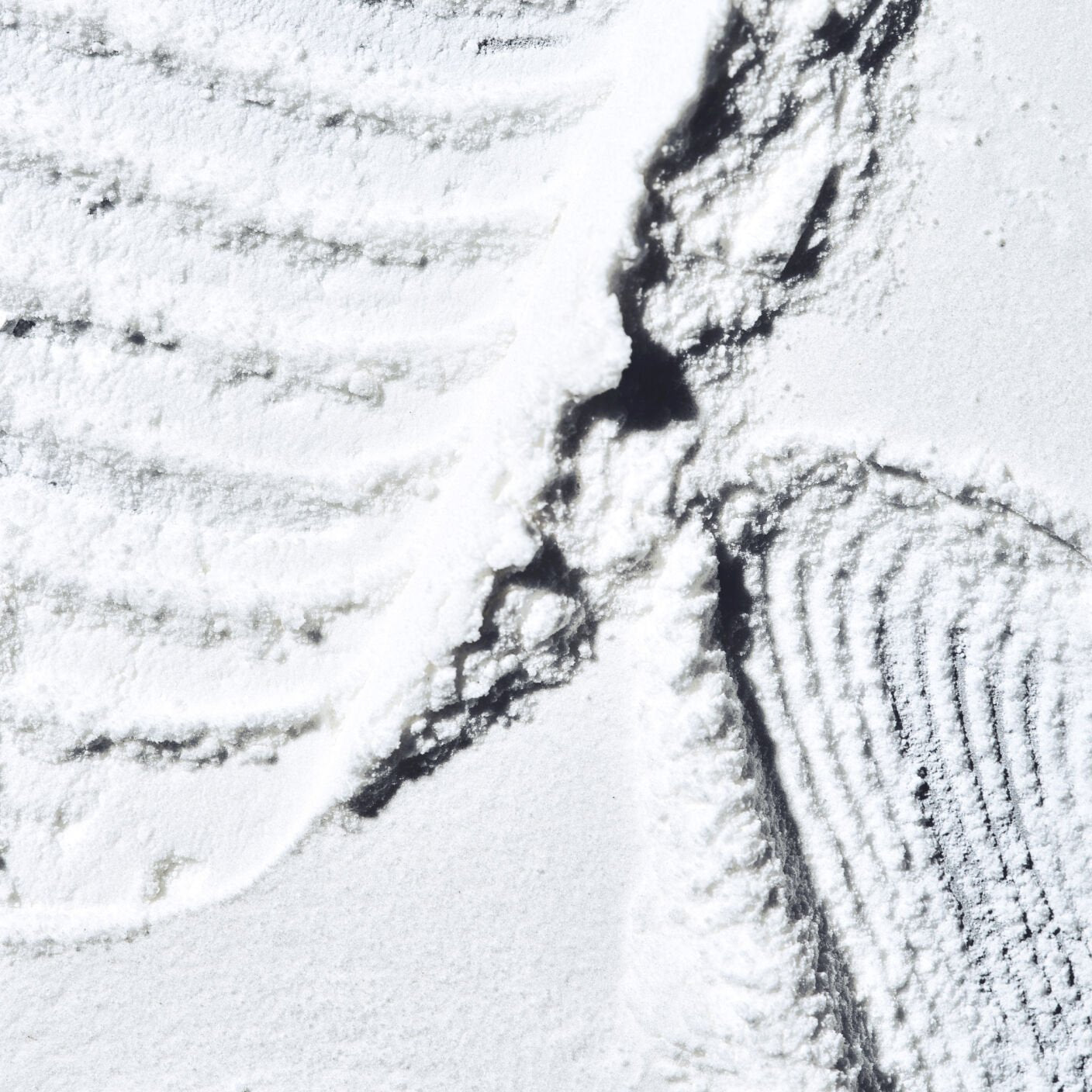 Broadleaf Forest Hand + Body Powder Wash