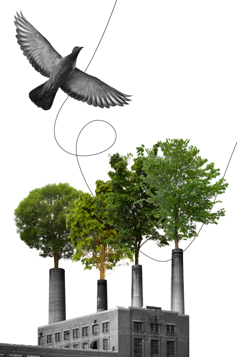 Our Commitment to the Earth